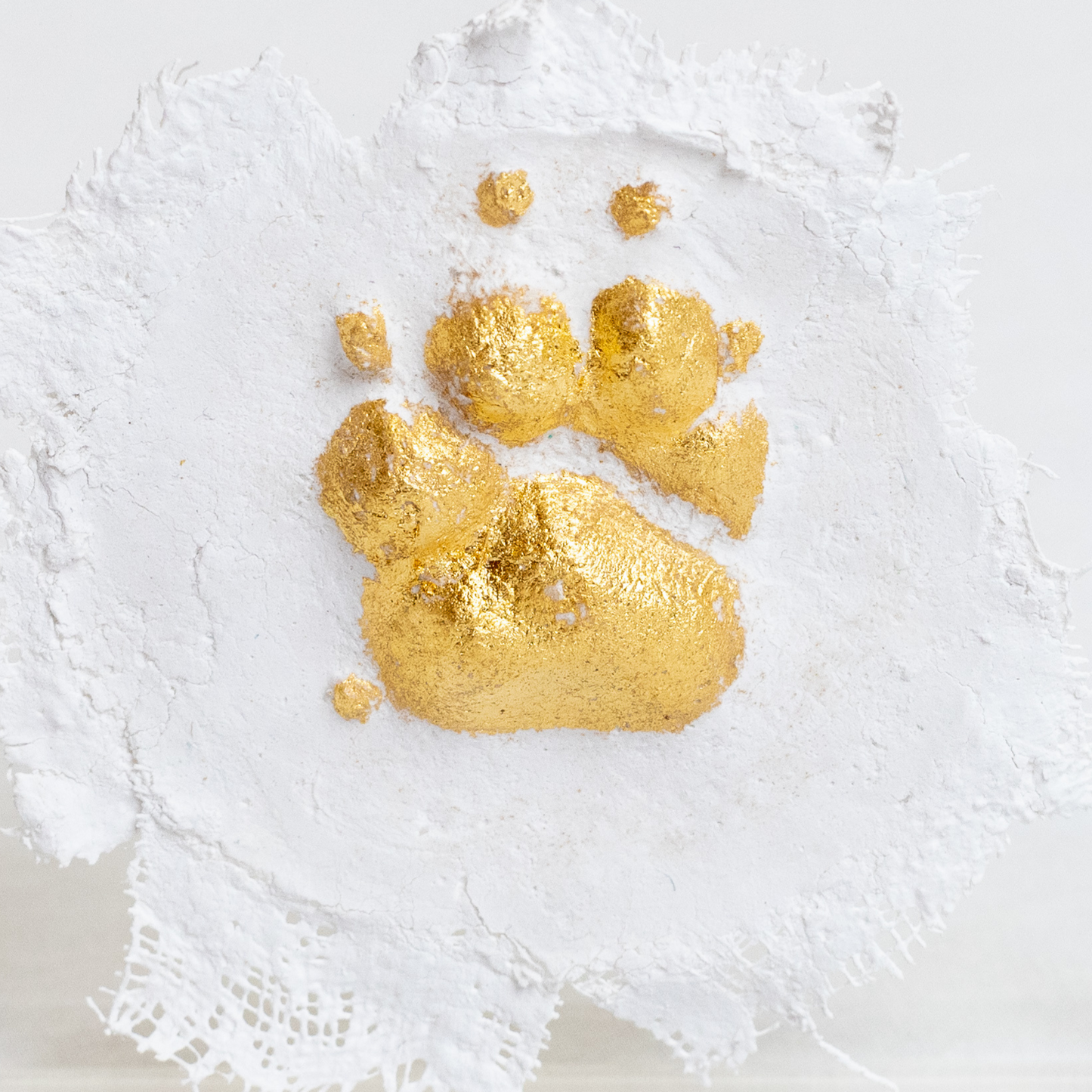 Pet Impressions; Medallion