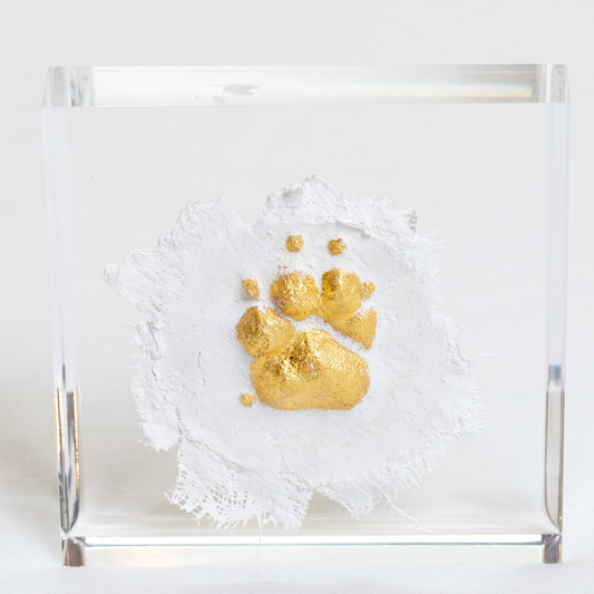 Pet Impressions; Medallion