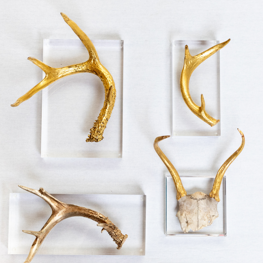 Individual Antlers